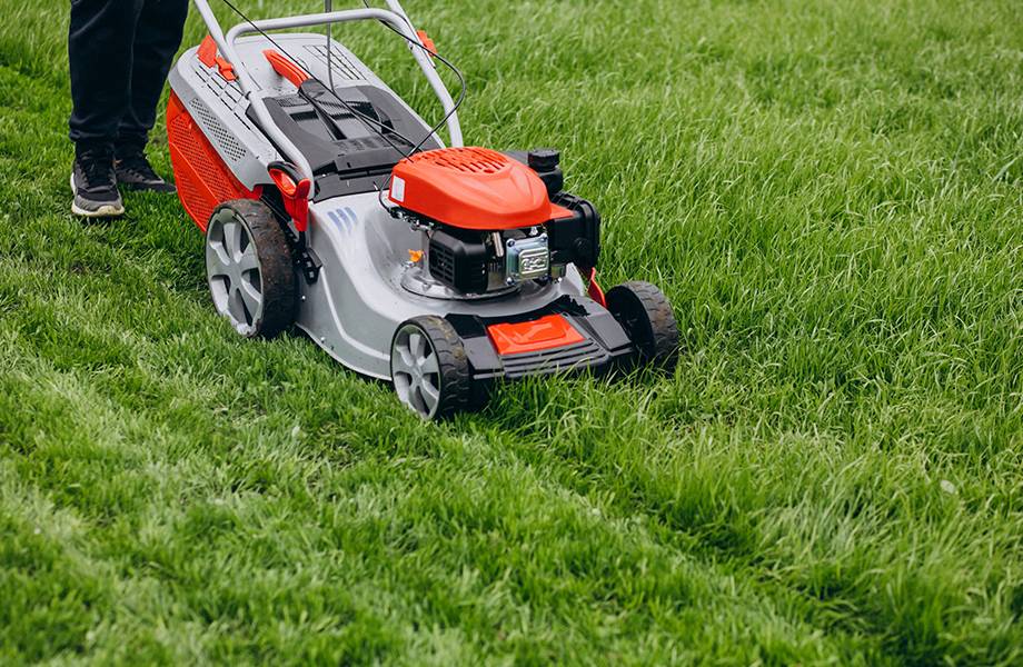 rasenschnitt